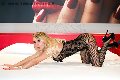 Foto 3468002809 Alexandra Miss Escort Foggia - 53