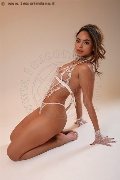 Foto 3473221264 Sienna Escort Trento - 5