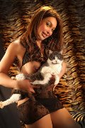 Foto 3533541305 Alessa Venezuelana Escort Verbania - 34
