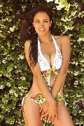 Foto Hot 3713942459 Elodie Escort Vercelli - 1